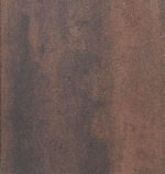 Autumn Brown Geocolor_Autumn_brown