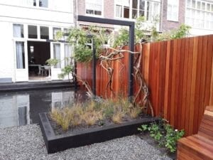Beplanting_aluminium_pergola