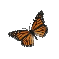 Papilion-Tuinen_alphen_ad_Rijn