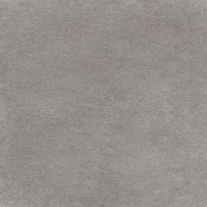 Pointer_Crema_Luna_Mist