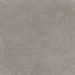 Pointer_Crema_Luna_Mist